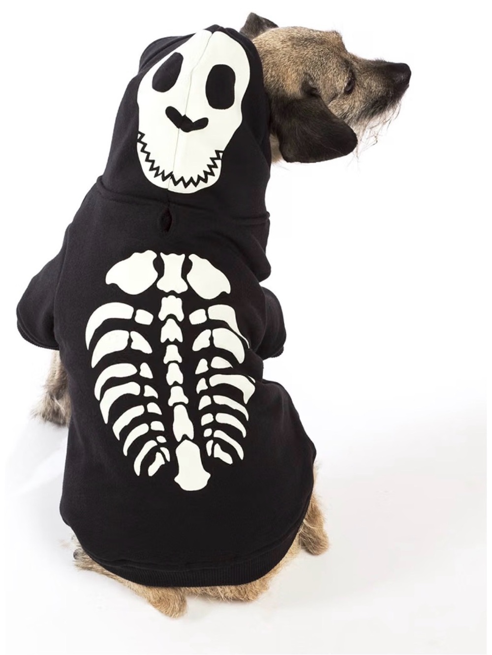 NWOT Dog Skeleton Hoodie - Dog Costume size SMALL.  Halloween Costume.